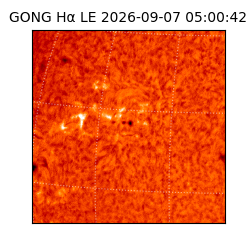 gong - 2026-09-07T05:00:42
