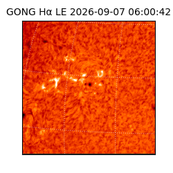 gong - 2026-09-07T06:00:42