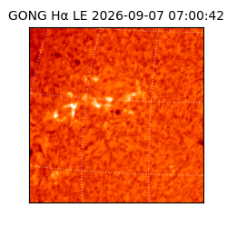 gong - 2026-09-07T07:00:42