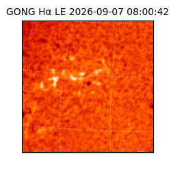 gong - 2026-09-07T08:00:42