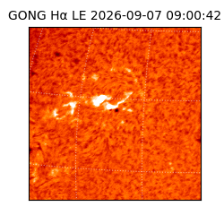 gong - 2026-09-07T09:00:42
