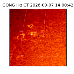 gong - 2026-09-07T14:00:42