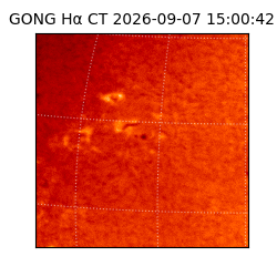 gong - 2026-09-07T15:00:42