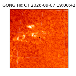 gong - 2026-09-07T19:00:42