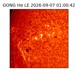 gong - 2026-09-07T01:00:42