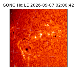 gong - 2026-09-07T02:00:42