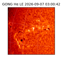gong - 2026-09-07T03:00:42