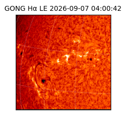 gong - 2026-09-07T04:00:42