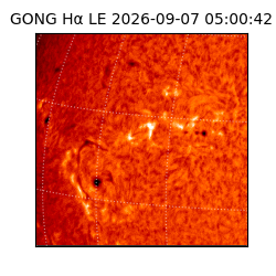 gong - 2026-09-07T05:00:42