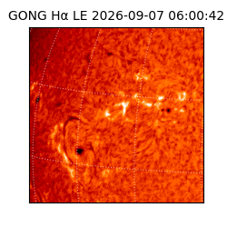 gong - 2026-09-07T06:00:42