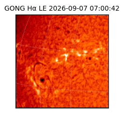 gong - 2026-09-07T07:00:42