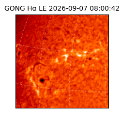 gong - 2026-09-07T08:00:42