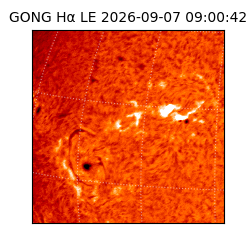 gong - 2026-09-07T09:00:42