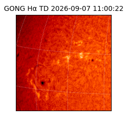gong - 2026-09-07T11:00:22