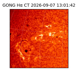 gong - 2026-09-07T13:01:42