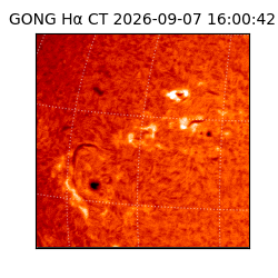 gong - 2026-09-07T16:00:42