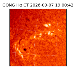 gong - 2026-09-07T19:00:42
