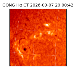 gong - 2026-09-07T20:00:42