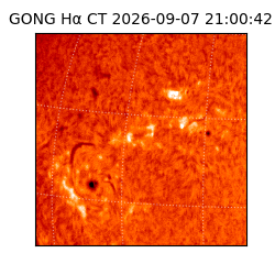 gong - 2026-09-07T21:00:42