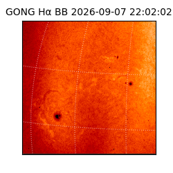 gong - 2026-09-07T22:02:02