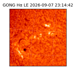 gong - 2026-09-07T23:14:42