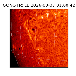 gong - 2026-09-07T01:00:42