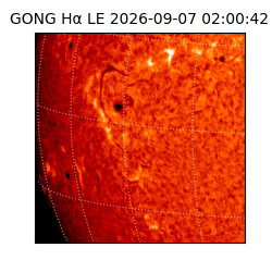 gong - 2026-09-07T02:00:42