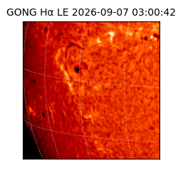 gong - 2026-09-07T03:00:42