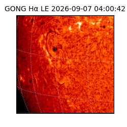 gong - 2026-09-07T04:00:42