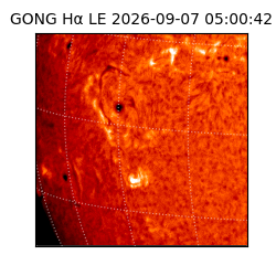 gong - 2026-09-07T05:00:42