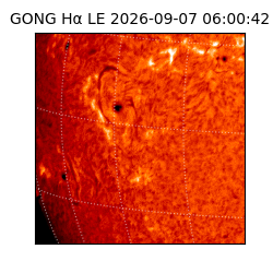 gong - 2026-09-07T06:00:42