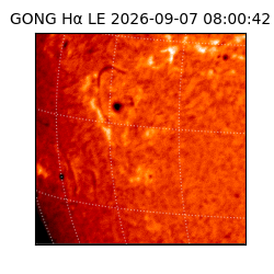 gong - 2026-09-07T08:00:42
