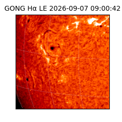 gong - 2026-09-07T09:00:42