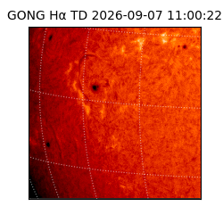 gong - 2026-09-07T11:00:22