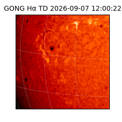 gong - 2026-09-07T12:00:22
