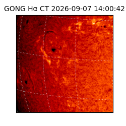 gong - 2026-09-07T14:00:42