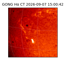 gong - 2026-09-07T15:00:42