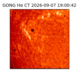 gong - 2026-09-07T19:00:42