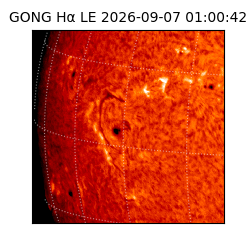 gong - 2026-09-07T01:00:42