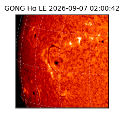 gong - 2026-09-07T02:00:42