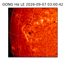 gong - 2026-09-07T03:00:42