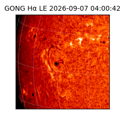 gong - 2026-09-07T04:00:42