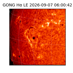 gong - 2026-09-07T06:00:42
