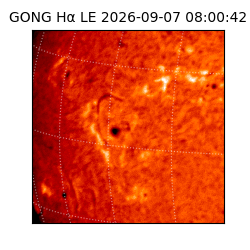 gong - 2026-09-07T08:00:42