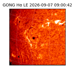 gong - 2026-09-07T09:00:42