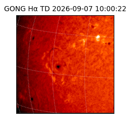 gong - 2026-09-07T10:00:22