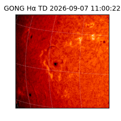 gong - 2026-09-07T11:00:22