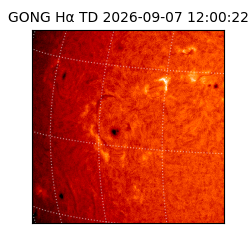 gong - 2026-09-07T12:00:22