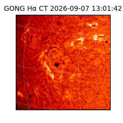gong - 2026-09-07T13:01:42
