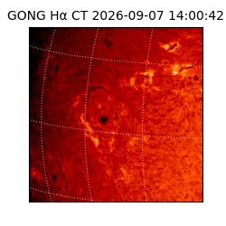 gong - 2026-09-07T14:00:42